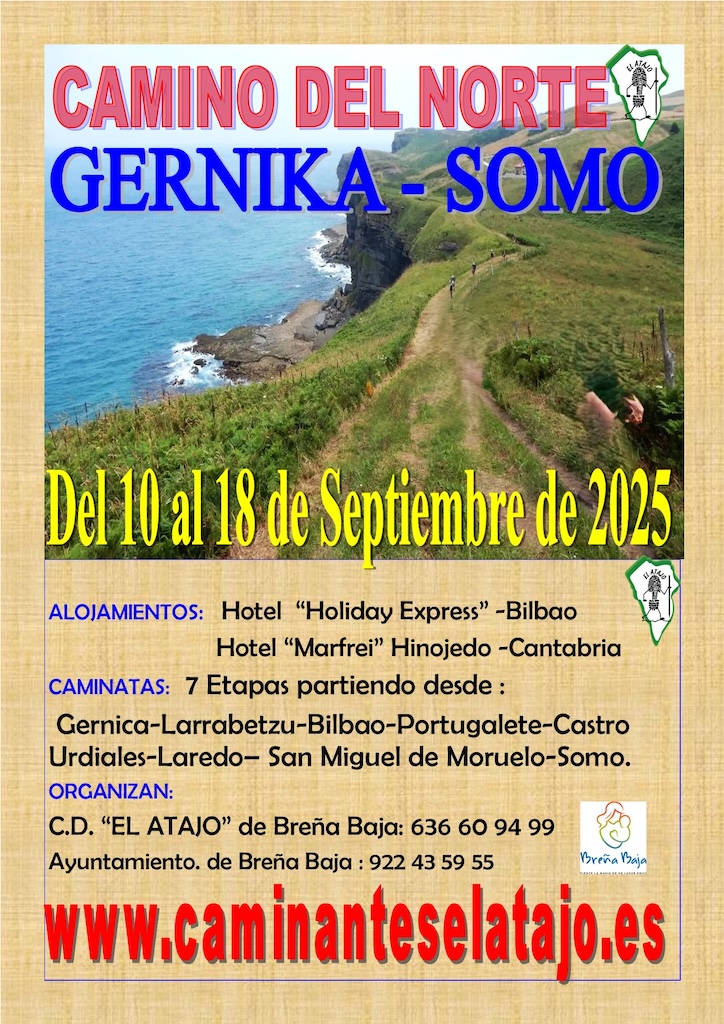 Cartel Viaje al Camino del Norte 25