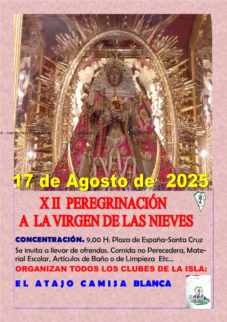 Cartel XII Peregrinación Las Nieves2025